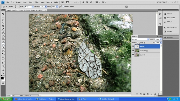 Creation of Lonely leaf: Step 2